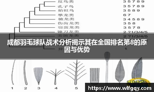 成都羽毛球队战术分析揭示其在全国排名第8的原因与优势