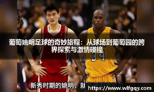 葡萄姚明足球的奇妙旅程：从球场到葡萄园的跨界探索与激情碰撞
