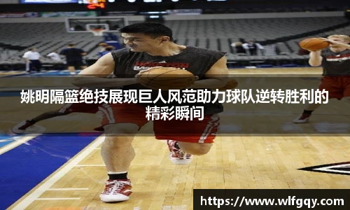多多28官网