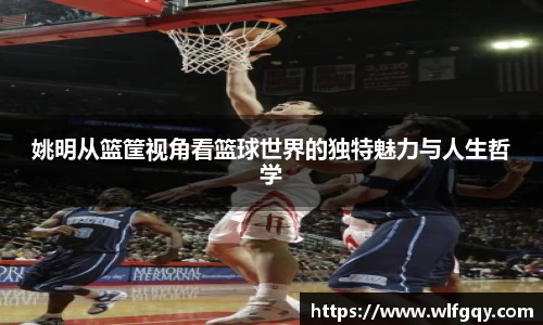姚明从篮筐视角看篮球世界的独特魅力与人生哲学