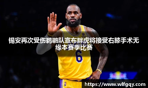 多多28官网