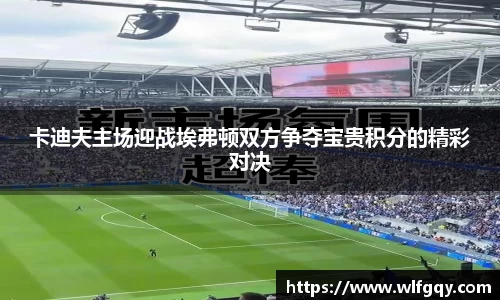 卡迪夫主场迎战埃弗顿双方争夺宝贵积分的精彩对决